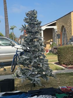 Christmass tree