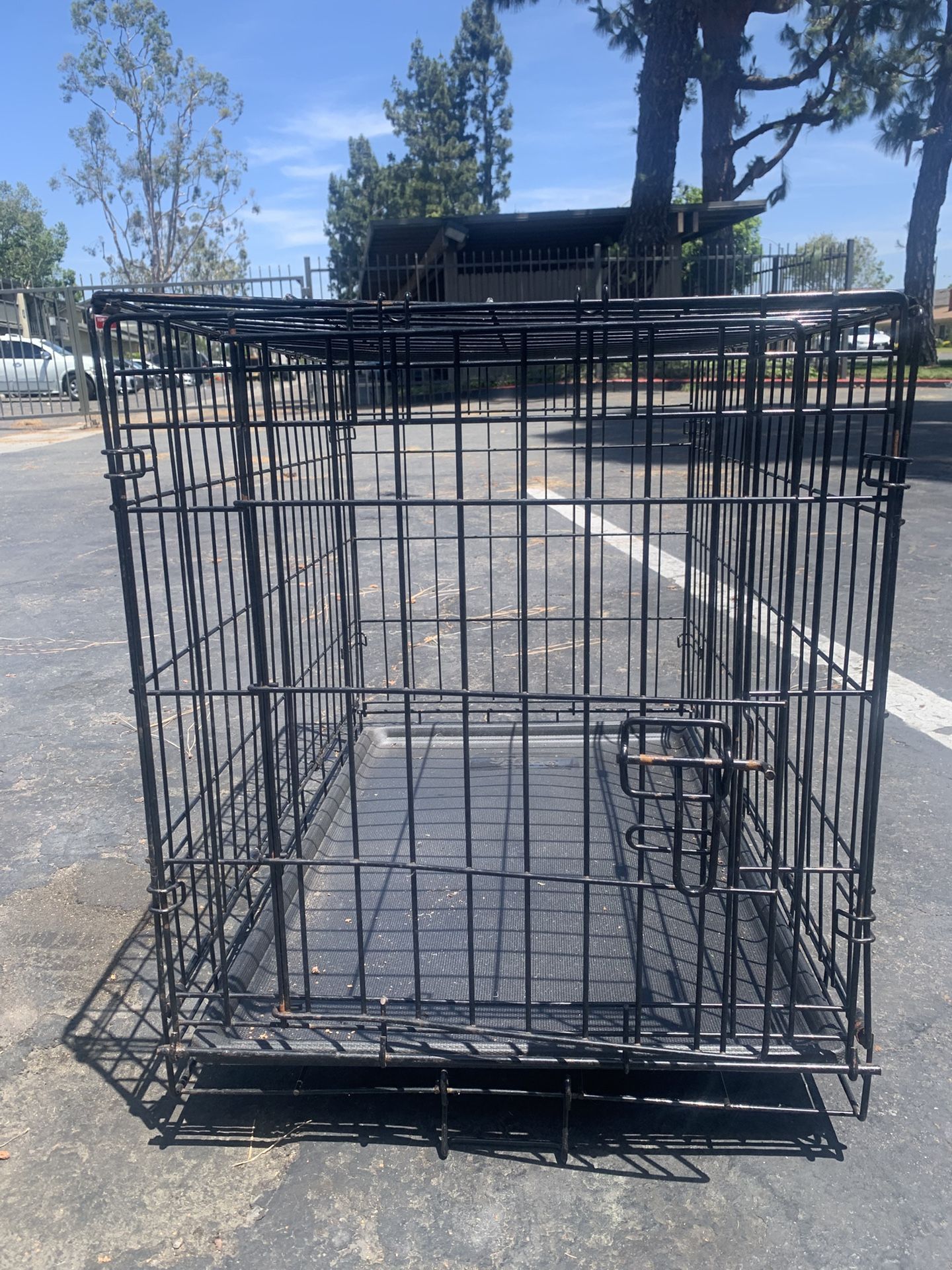 Dog kennel 