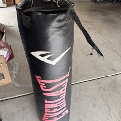 USED/WORN Everlast punching Bag!  $40