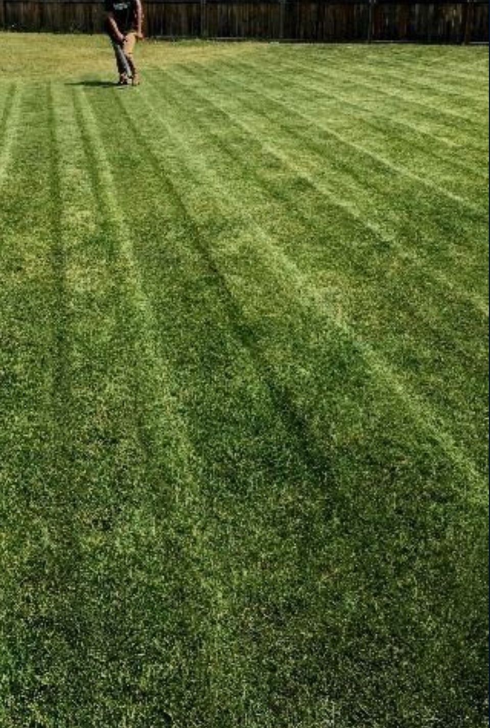Cheap Gardner