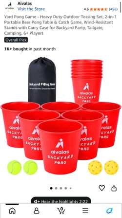 Backyard Pong Game