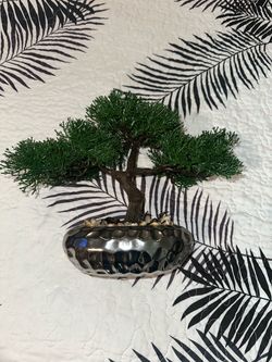 Money tree