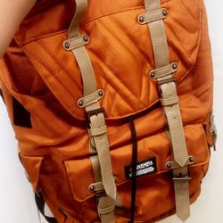 Back Pack New Just No Tags 