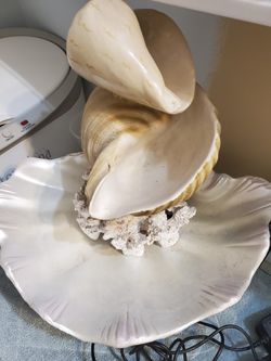 Shell Water Fountain 