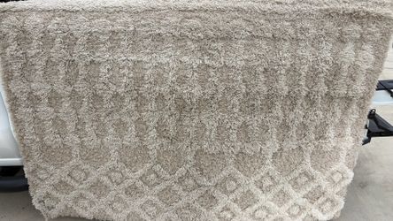 Living room rug $50 OBO