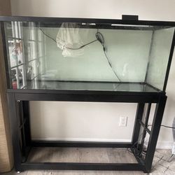 50 gallon fish tank 
