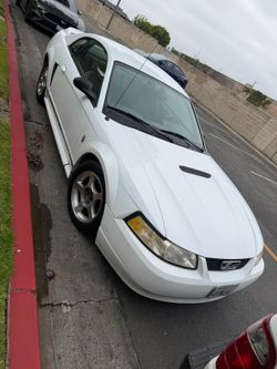 2000 Ford Mustang