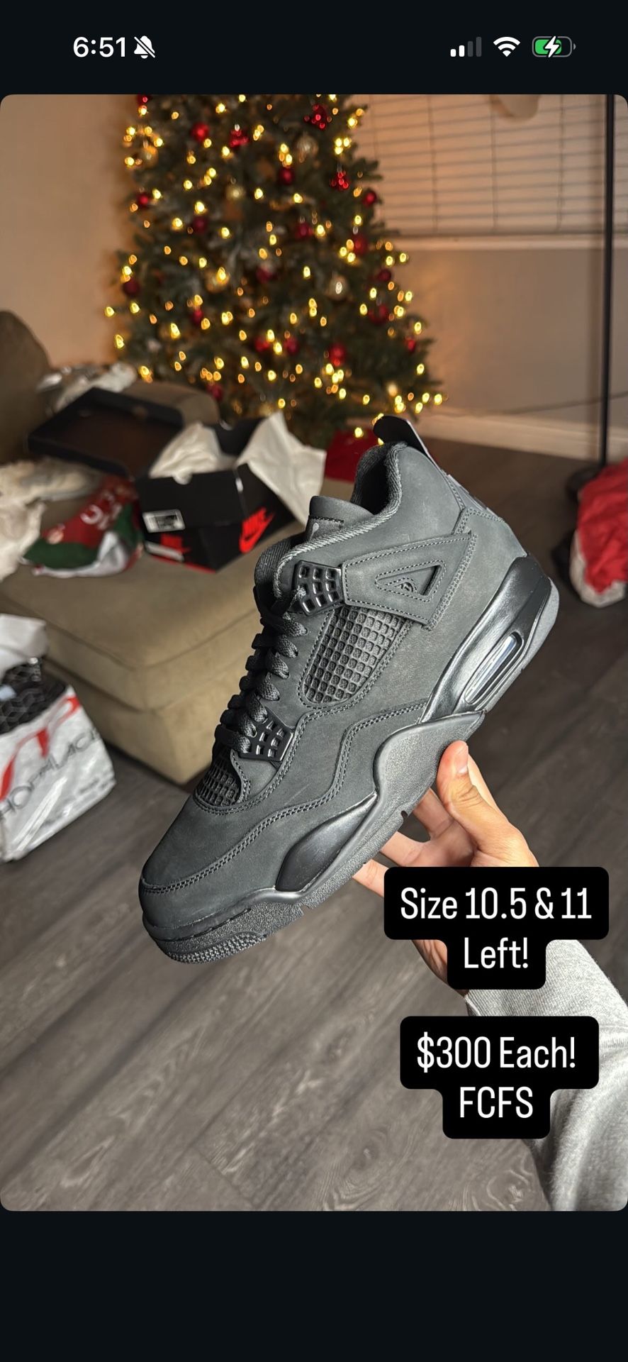 Jordan 4 Black Cat