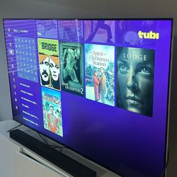 65” Vizio Smart TV - Great Condition 