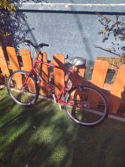 Mountain Bike
