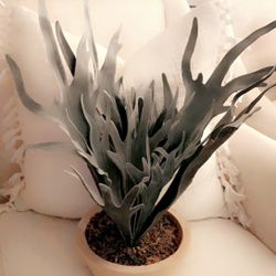 Beautiful Threshold Faux plant