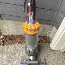 Dyson Standing Vacuum Animal 