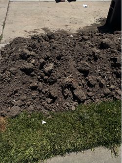 FREE dirt