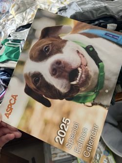 ASCPA AND TAYLOR SWIFT CALENDARS