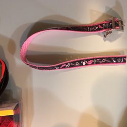 Large Dog Collar