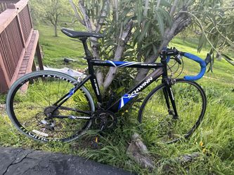 bike, Schwinn