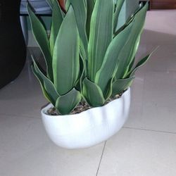 Artificial Sansevieria with Vase