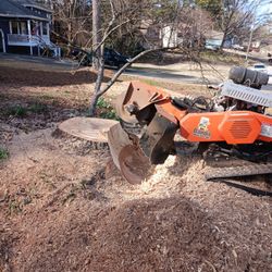 Stump Grinding 