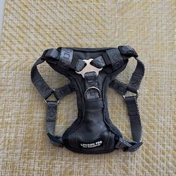 Dog Harness 