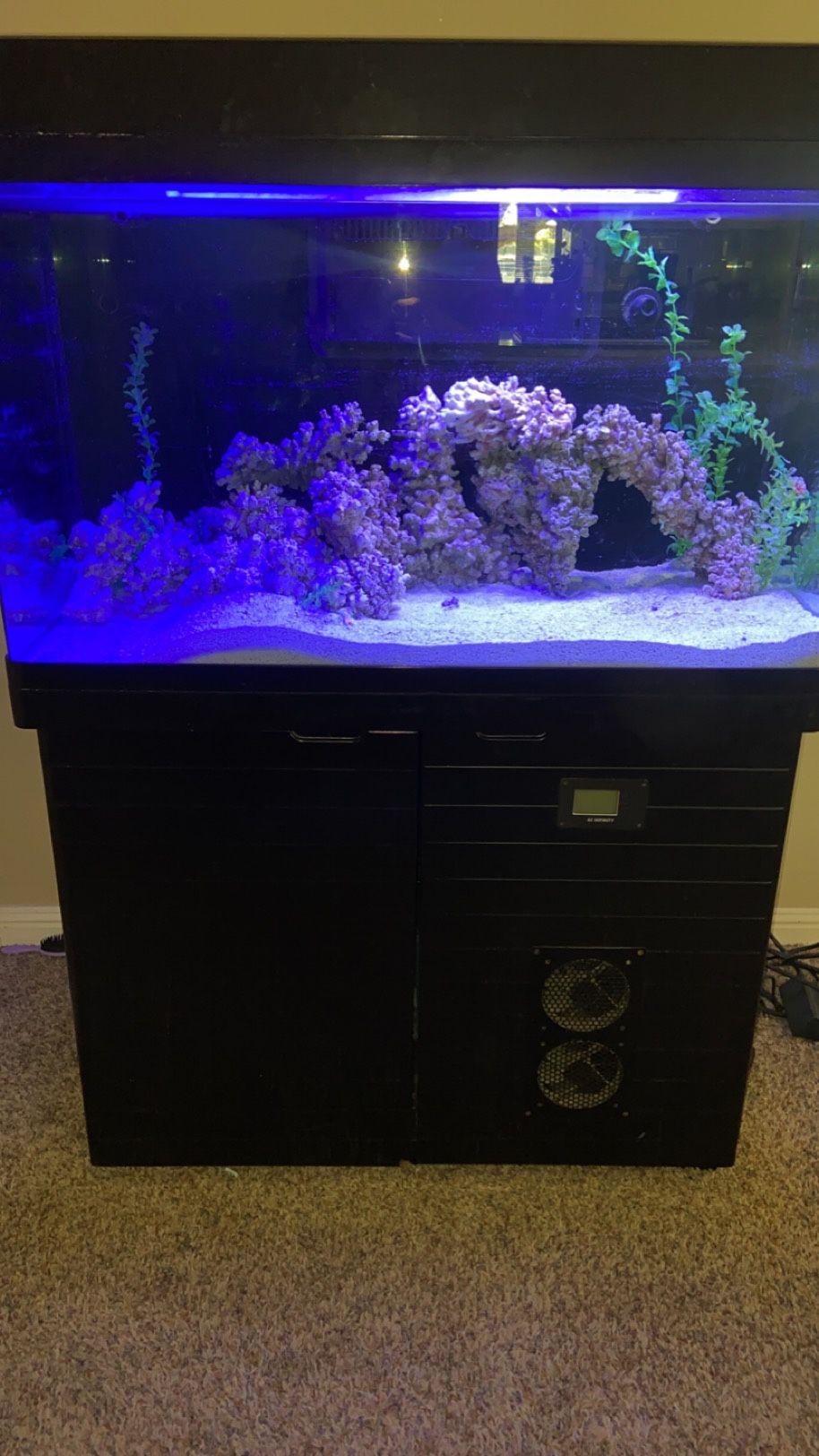 Red Sea Aquarium 65 Gallons Saltwater 340 for Sale in Hesperia, CA OfferUp