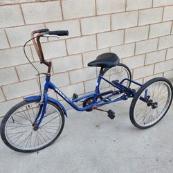 Adult 3 Wheel Bicycle 