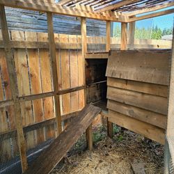 Chicken Coop 