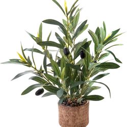 Indoor Fake Olive Plant 12 inch Faux Silk Leaves with Black Rustic Planter Medium Size Perfect Artificial Olive Fruits with Realistic Trunk and Lifeli