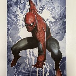 Spider man canvases