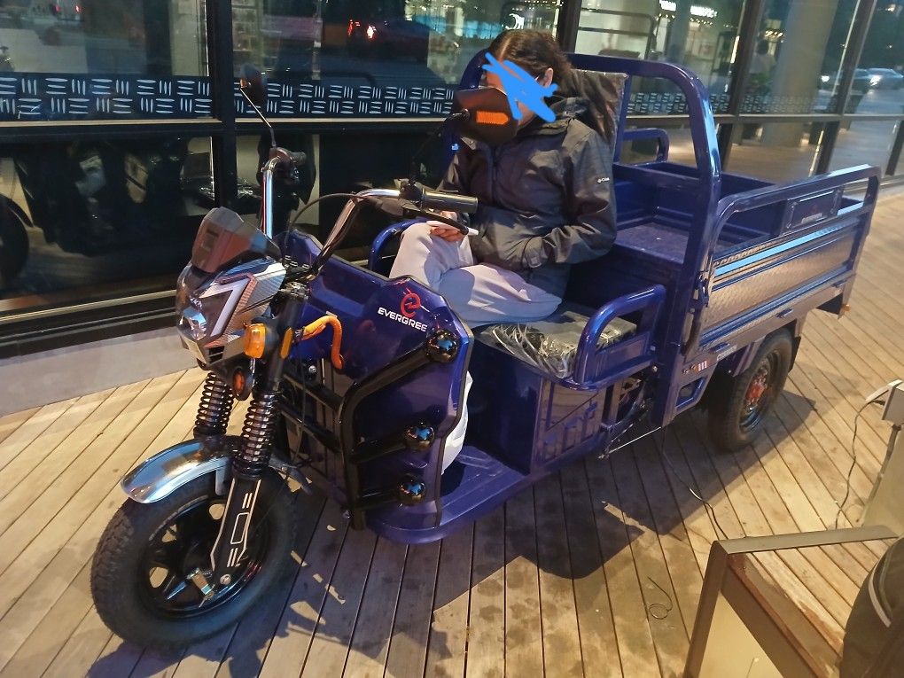 Electric Bike Trike
