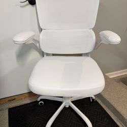 Brand New White Mesh Tall Back Ergonomic Office Chair w/Adjustable 3D Lumbar Support & Flip Up Arms 