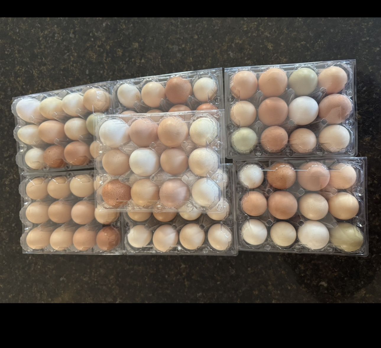 Eggs 🥚
