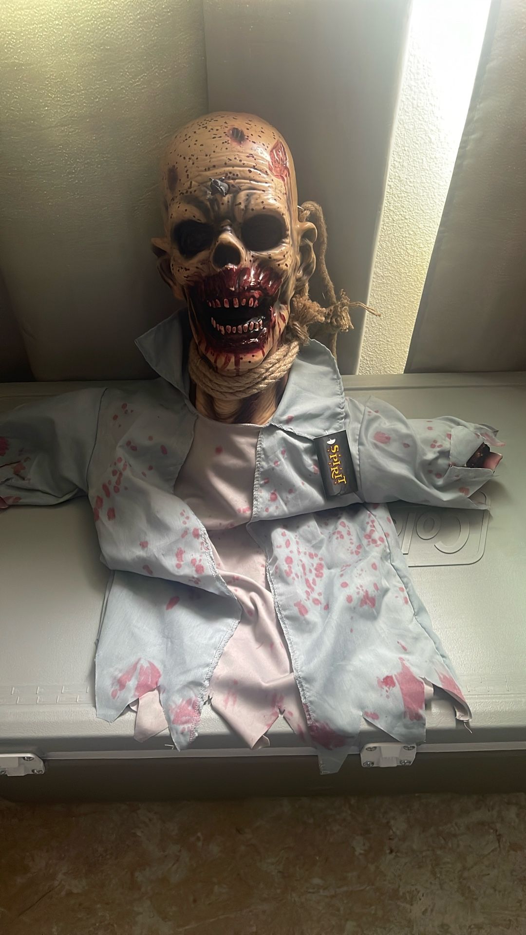 Halloween Decor