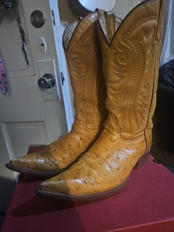 Botas Medida 8 1/2