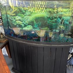 55 Gallo Fish Tank 