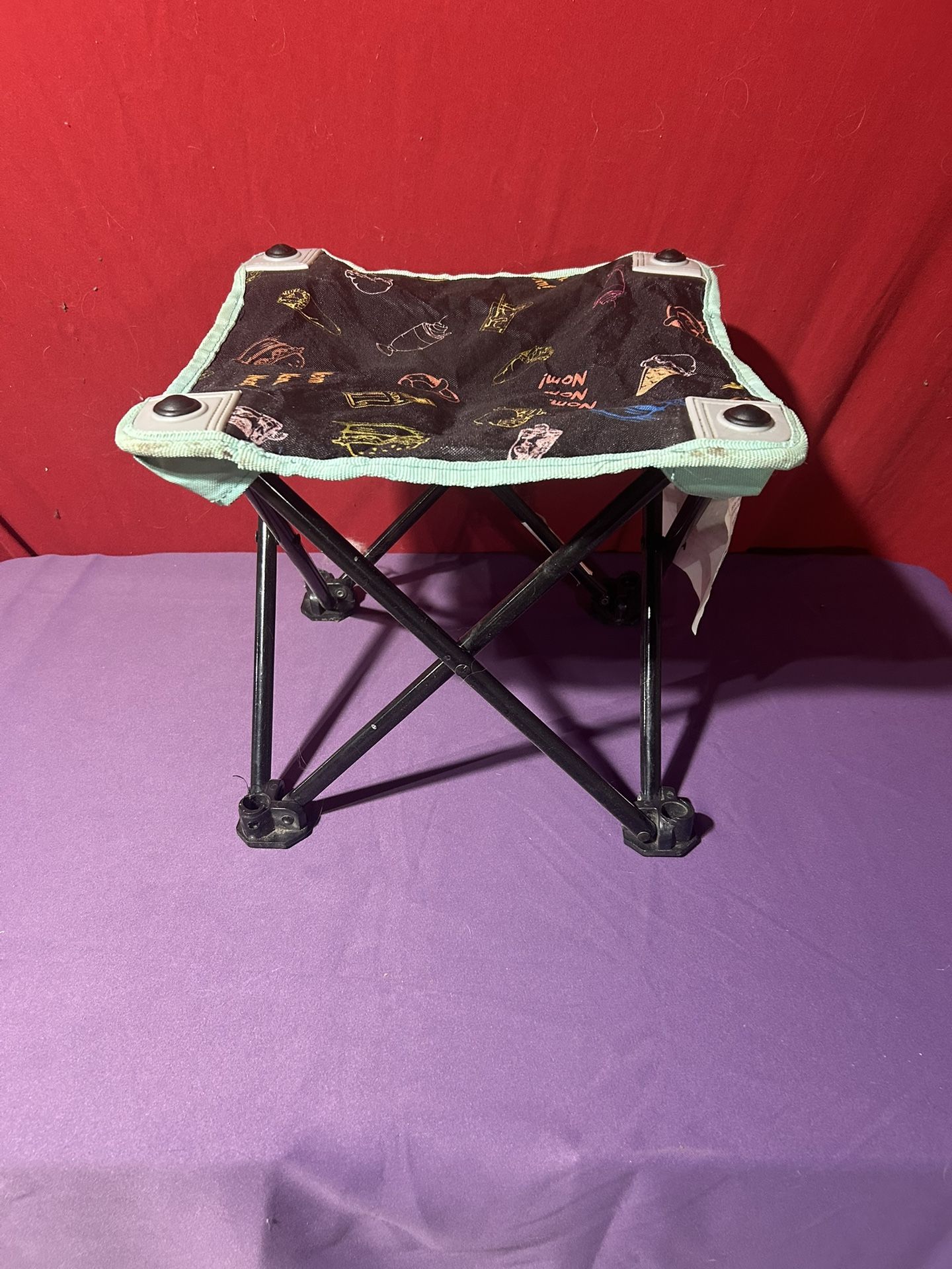 Kids Camping Folding Seat