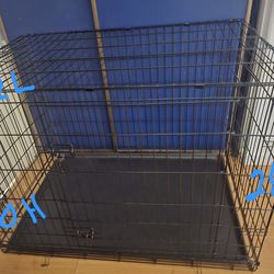 Dog Kennel