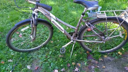 Schwinn excursion bike