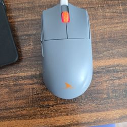 Mouse