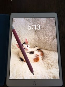 iPad with Apple Pencil