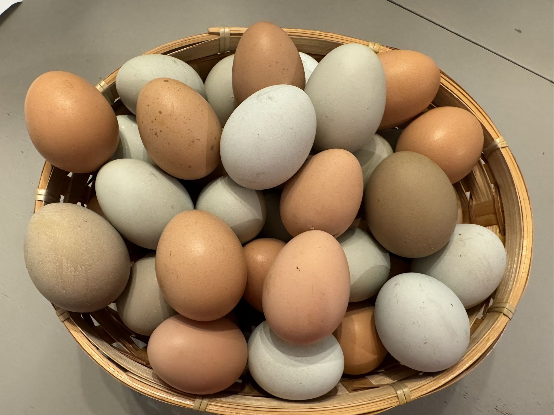 Organic Free Ranging Chicken Eggs Not Washed