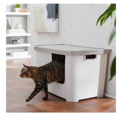 Chewy Frisco Cat Litter Box