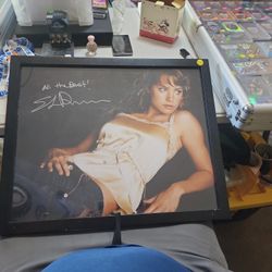 Erica Durance 16x20 Autograph Photo Smallville 