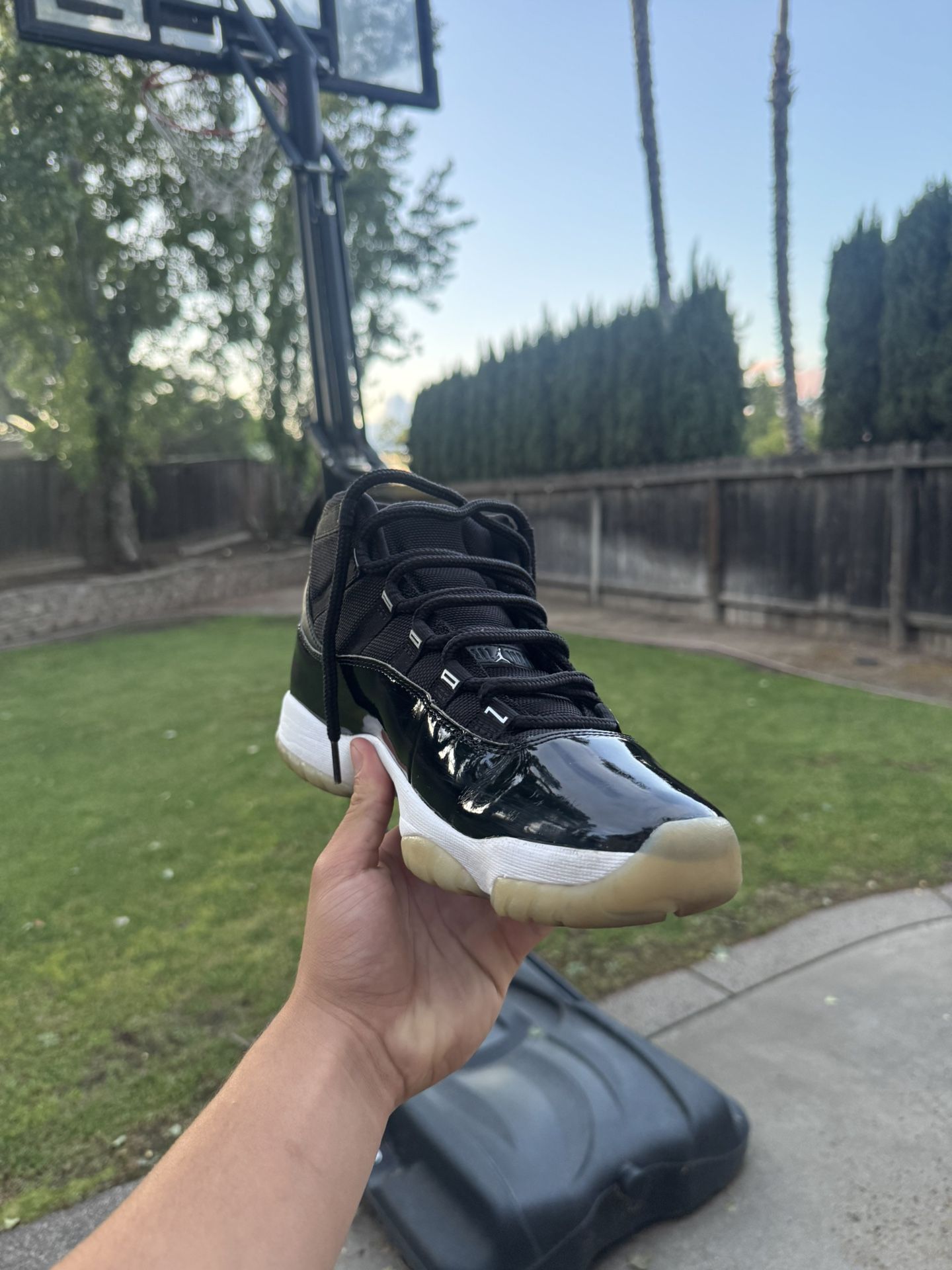Jordan 11 Jubilee