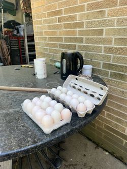 Duck Eggs For Sale