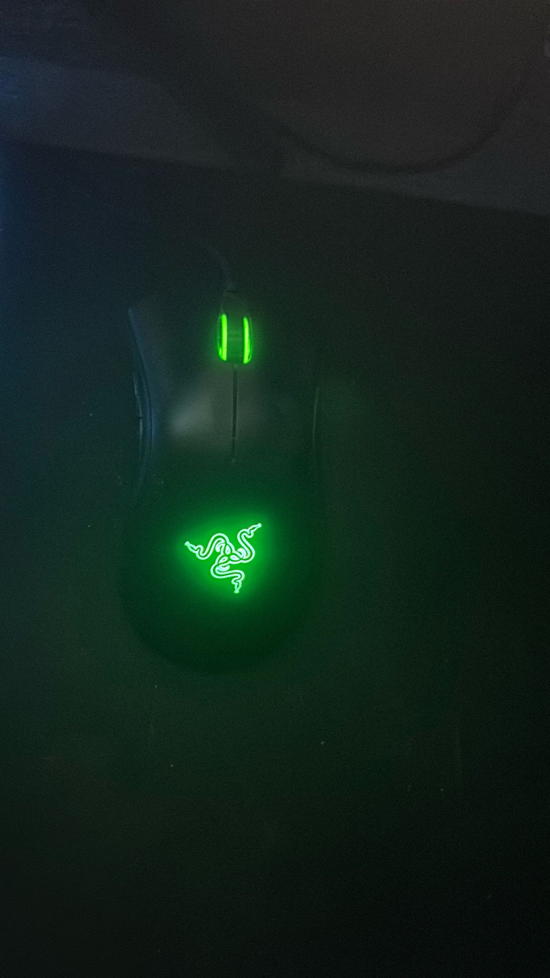 Razer Mouse Wired