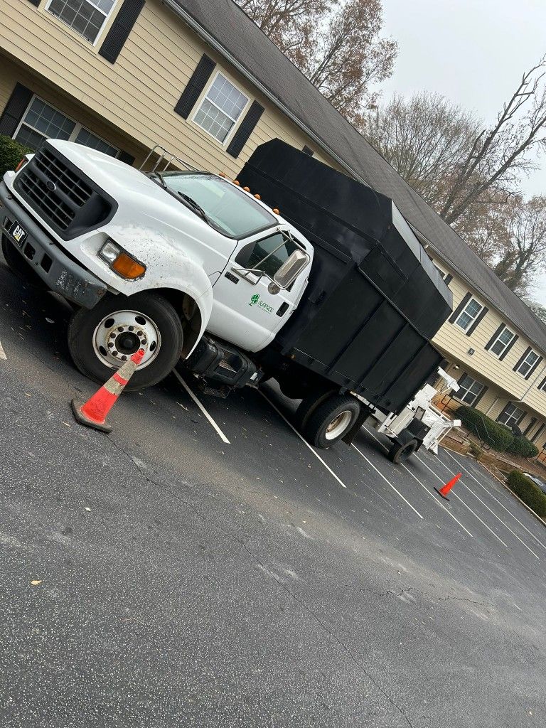 2025 Tree Rem0val - Free Estimate