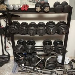 Dumbbell Rack With 2-65lb Dumbells