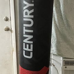 Century Punching Bag