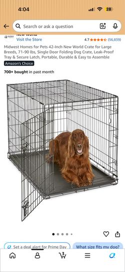 Large dog crate