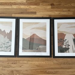 Triple Framed Art 26x22 inches
